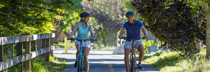 idle-times-bike-rentals-cape-cod-comfort-bikes-orleans